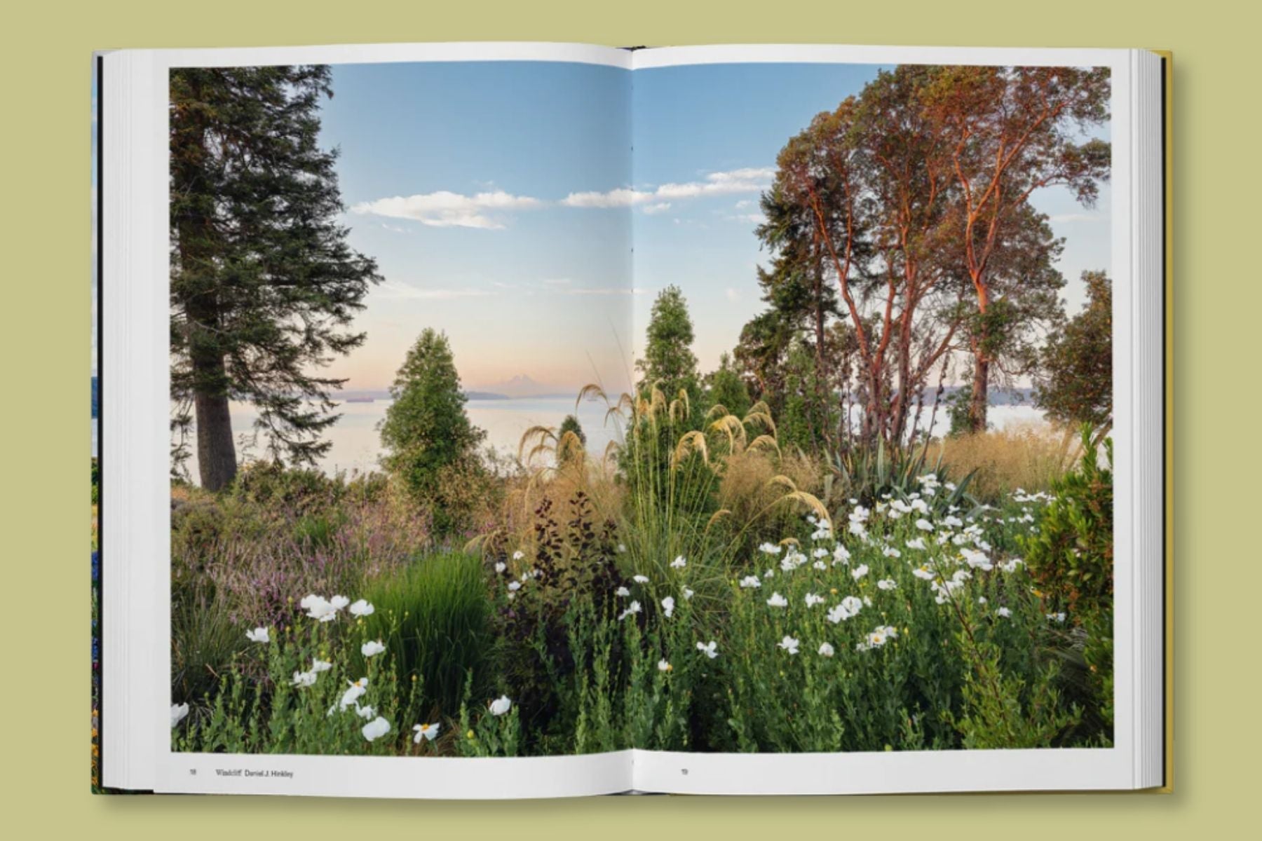 The Coastal Garden